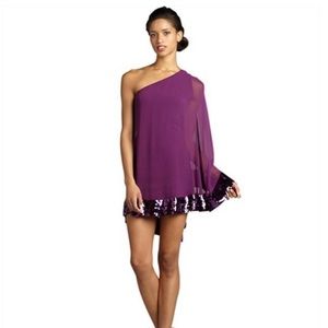💕HP💕Julie Brown Beth chiffon plum sequin dress